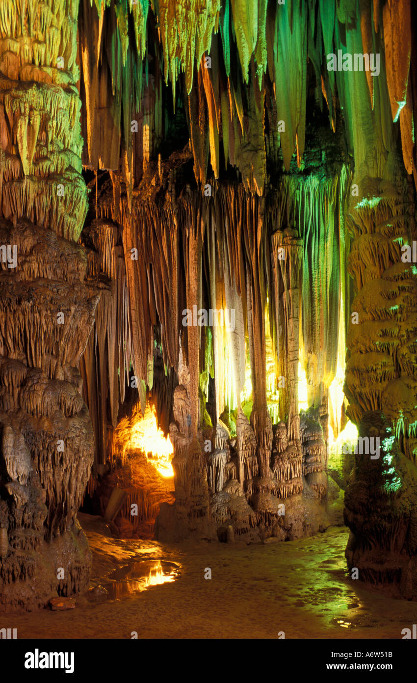 Caverna da Tapagem (hurdle's Cave) anche Caverna do Diabo (Devil's Cave), una grotta situata entro il Jacupiranga parco dello stato del Brasile Foto Stock