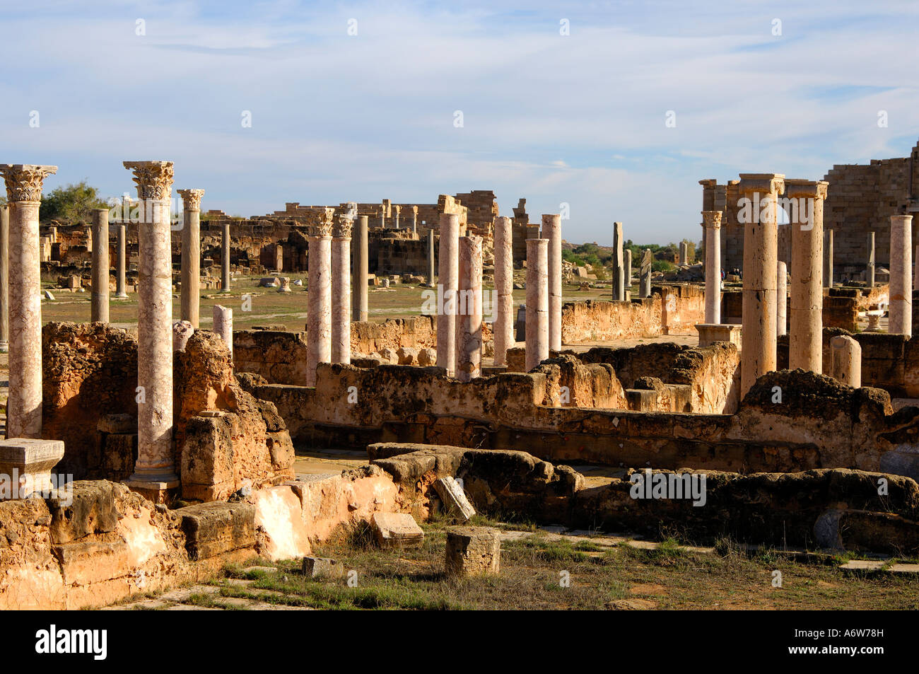 Ancoient colonne, Leptis Magna, Libia Foto Stock