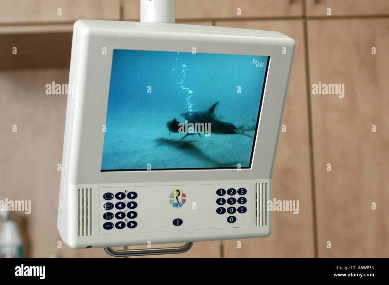 DEU Deutschland Westdeutsches Herzzentrum Essen Klinik fuer Thorax und Kardiovaskulare Chirurgie Klinik fuer Kardiologie Patientenzimmer DEU Germania Ovest Centro cardiaco Essen clinica per pazienti cardiologici WICHTIG Fotos duerfen nicht fuer Werbung PR anderer Kliniken Krankenhaeuser eingesetzt werden Foto Stock