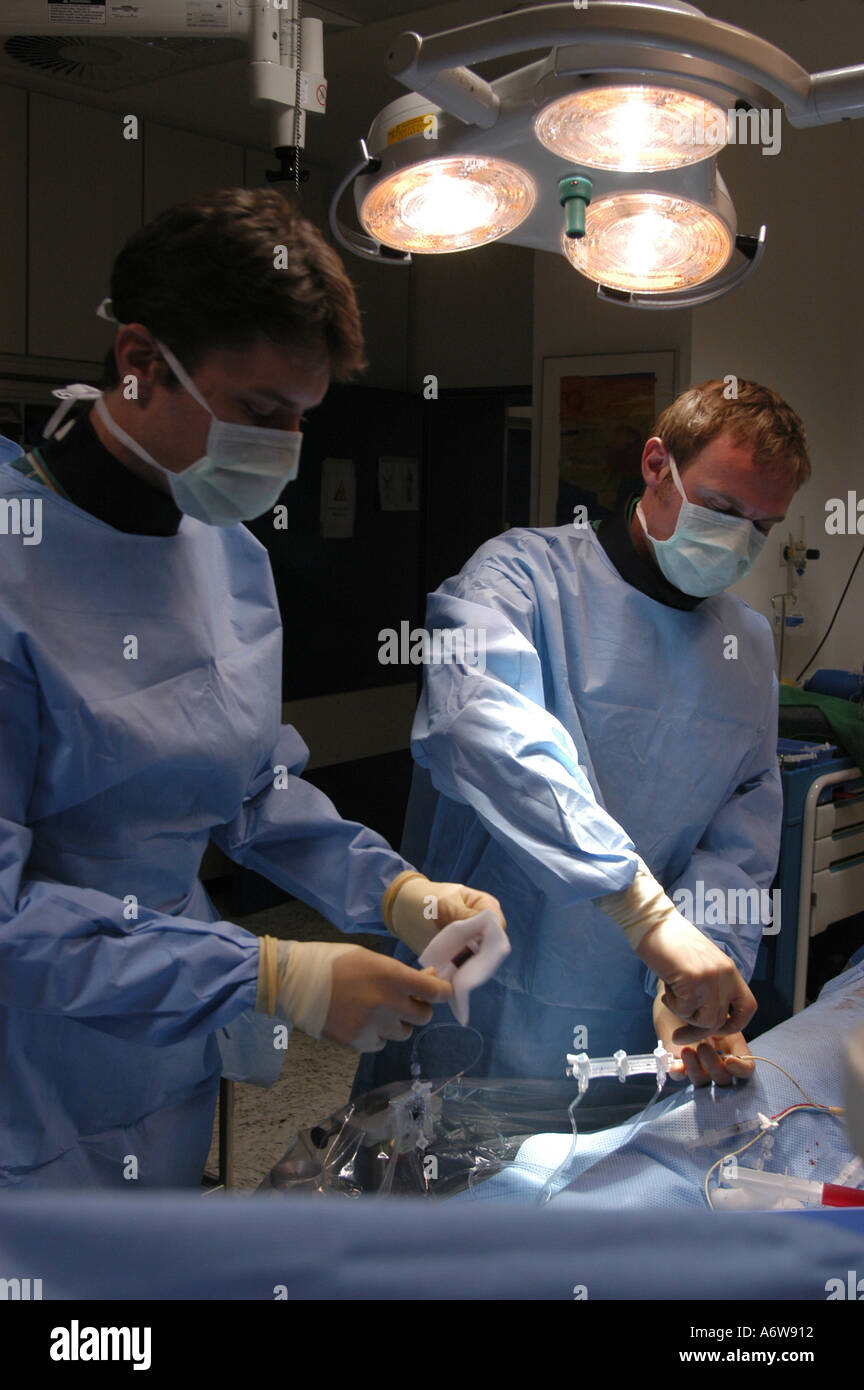 DEU Deutschland Westdeutsches Herzzentrum Essen Klinik fuer Kardiologie Hybridraum Herzkatheter Untersuchung DEU Germania Essen Centro di cuore della Germania occidentale clinica per cardiologia esame catetere intracardiaco in camera ibrida WICHTIG Fotos duerfen nicht fuer Werbung PR anderer Kliniken Krankenhaeuser eingesetzt werden Foto Stock