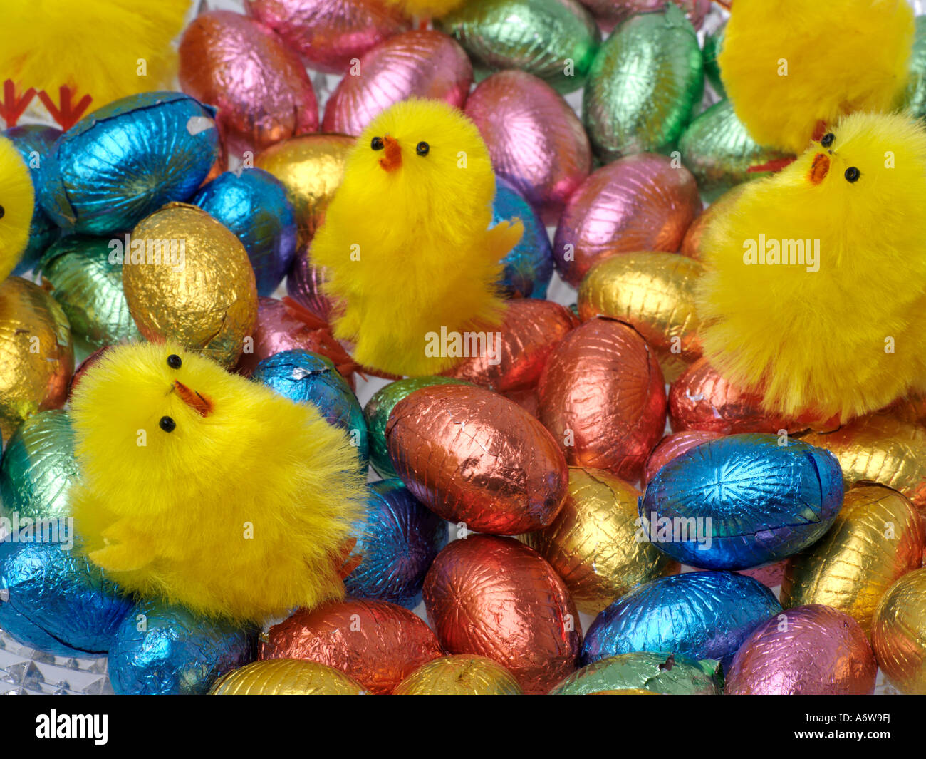 Giallo lanuginoso pulcini e uova di Pasqua Foto Stock