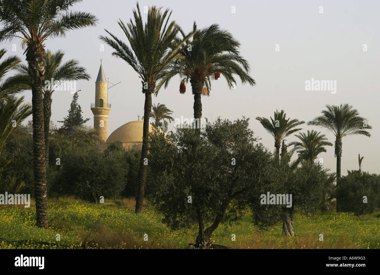 Sultan Tekke moschea nei pressi di Larnaca a Cipro Foto Stock