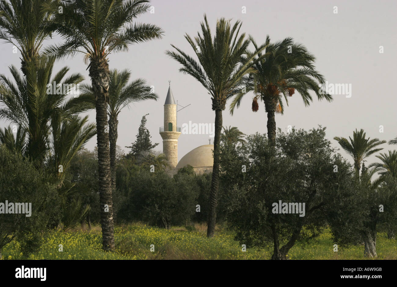 Sultan Tekke moschea nei pressi di Larnaca a Cipro Foto Stock