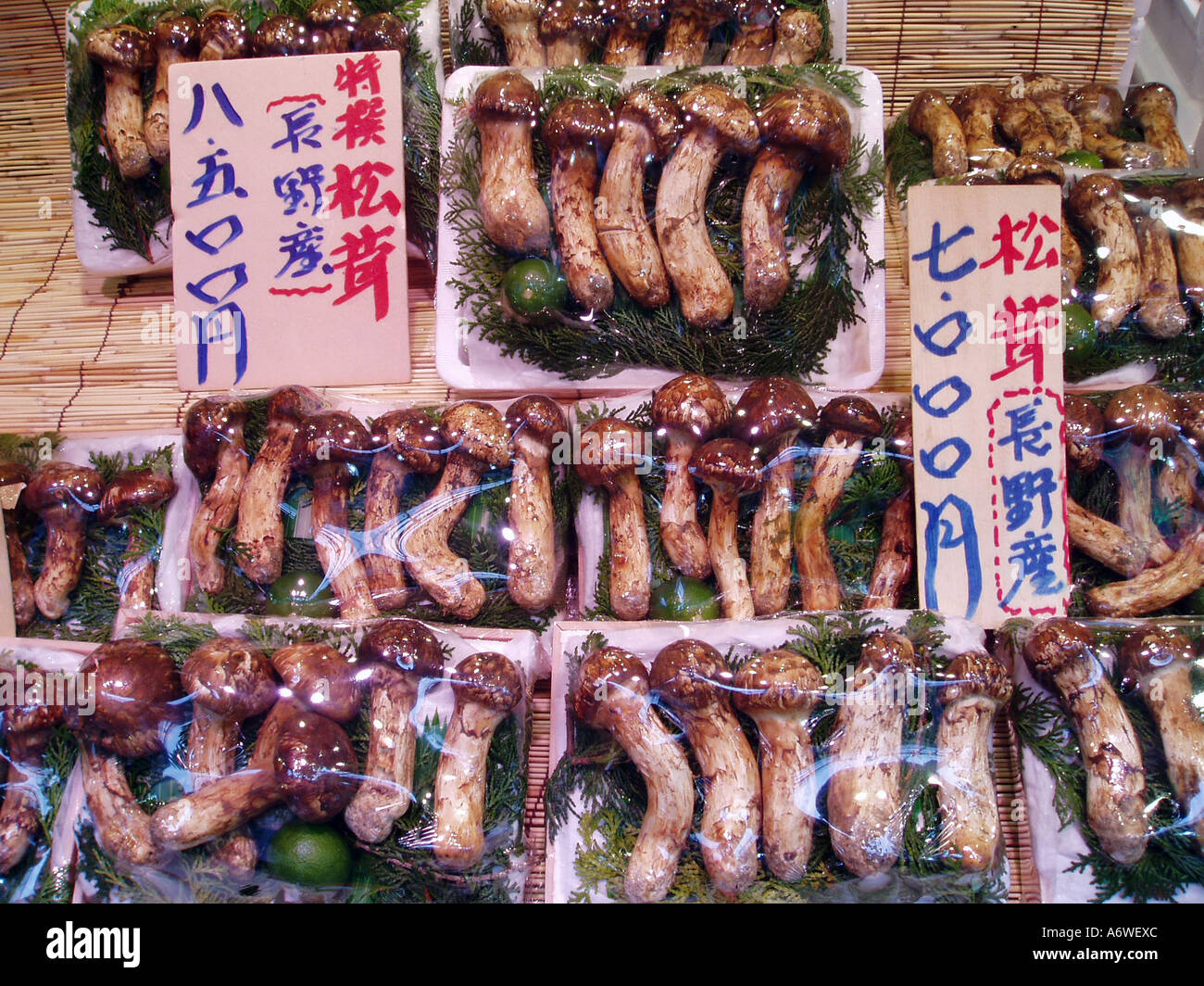 I funghi in un giapponese street market Giappone Foto Stock
