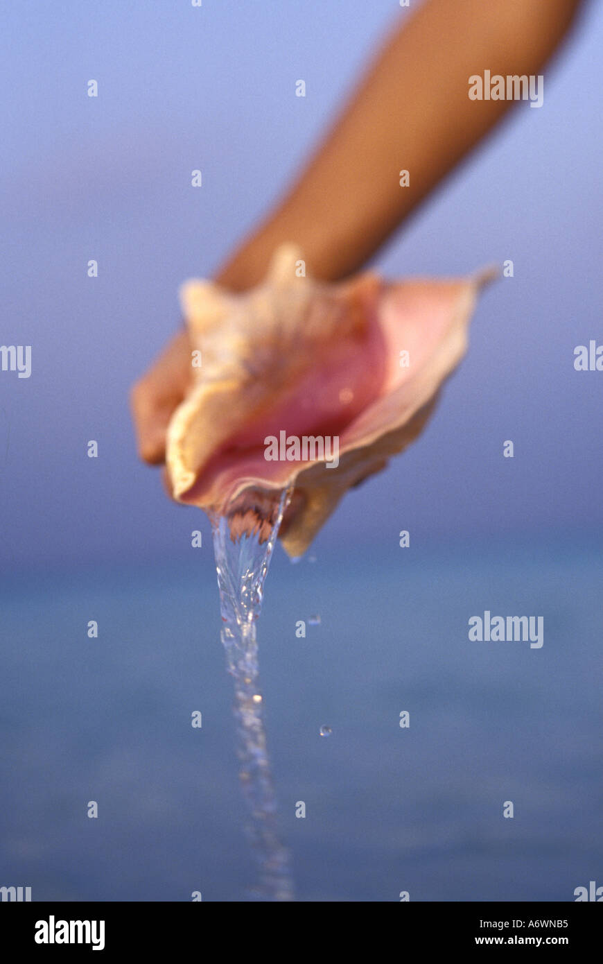 Oceano Indiano, Maldive, Donna, età 25-30, versando acqua dalla shell Foto Stock