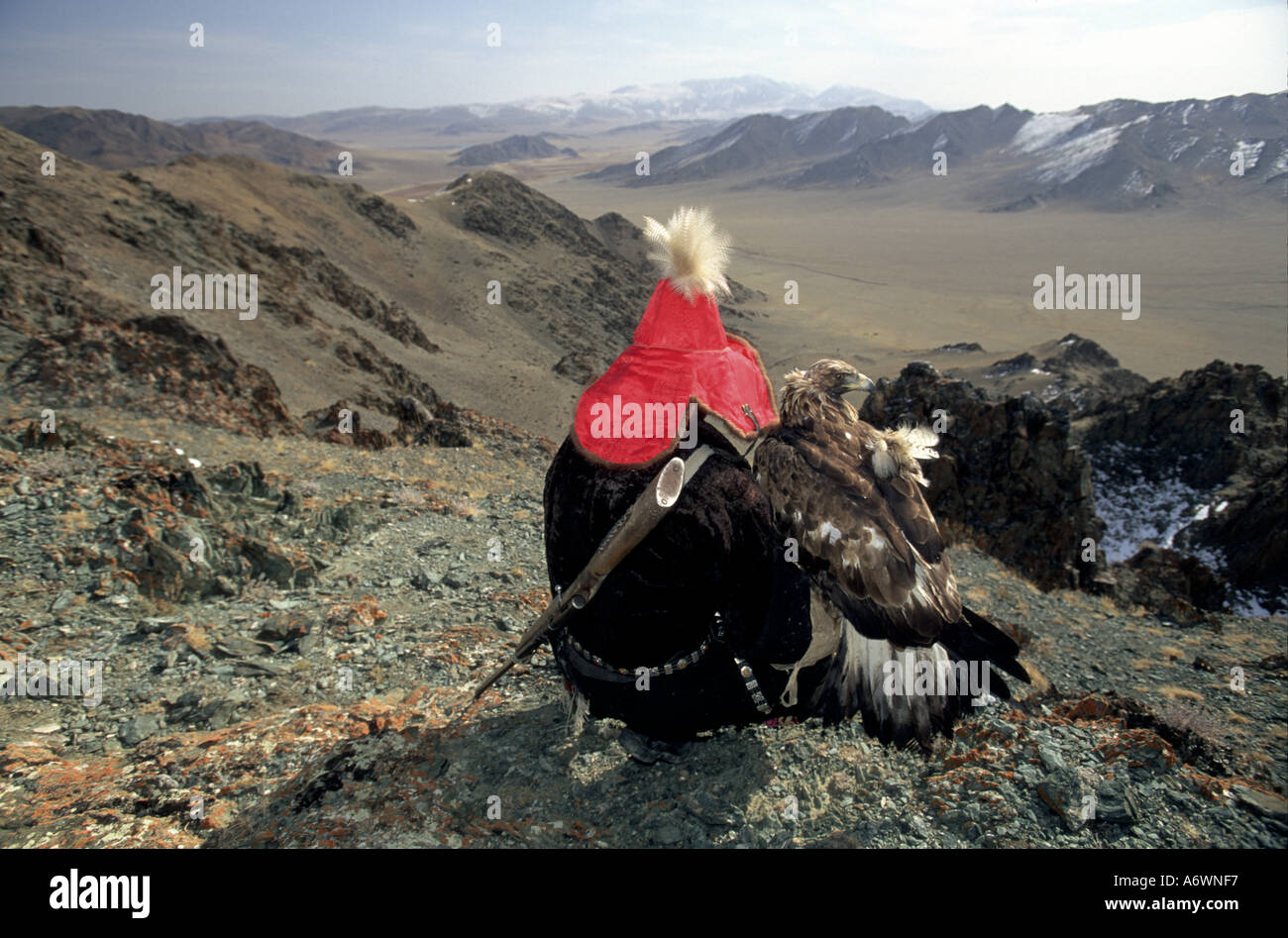 Asia, Mongolia, Golden Eagle Festival. Kook Kook e il suo sguardo eagle al prairie Foto Stock