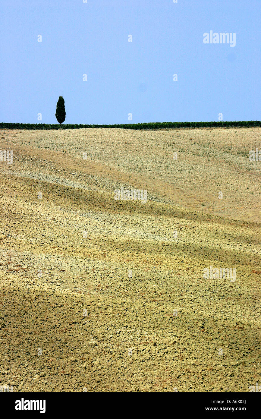 Il paesaggio toscano Polular cipresso campo aratro Foto Stock