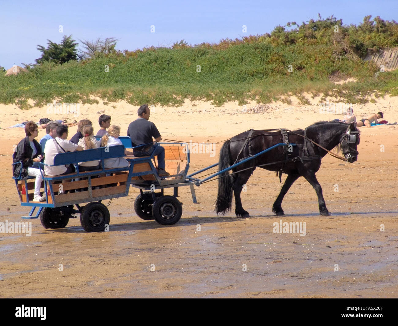 Francia Bretagna finisterre carantec causeway a ille callot turisti sul cavallo e carrello Foto Stock