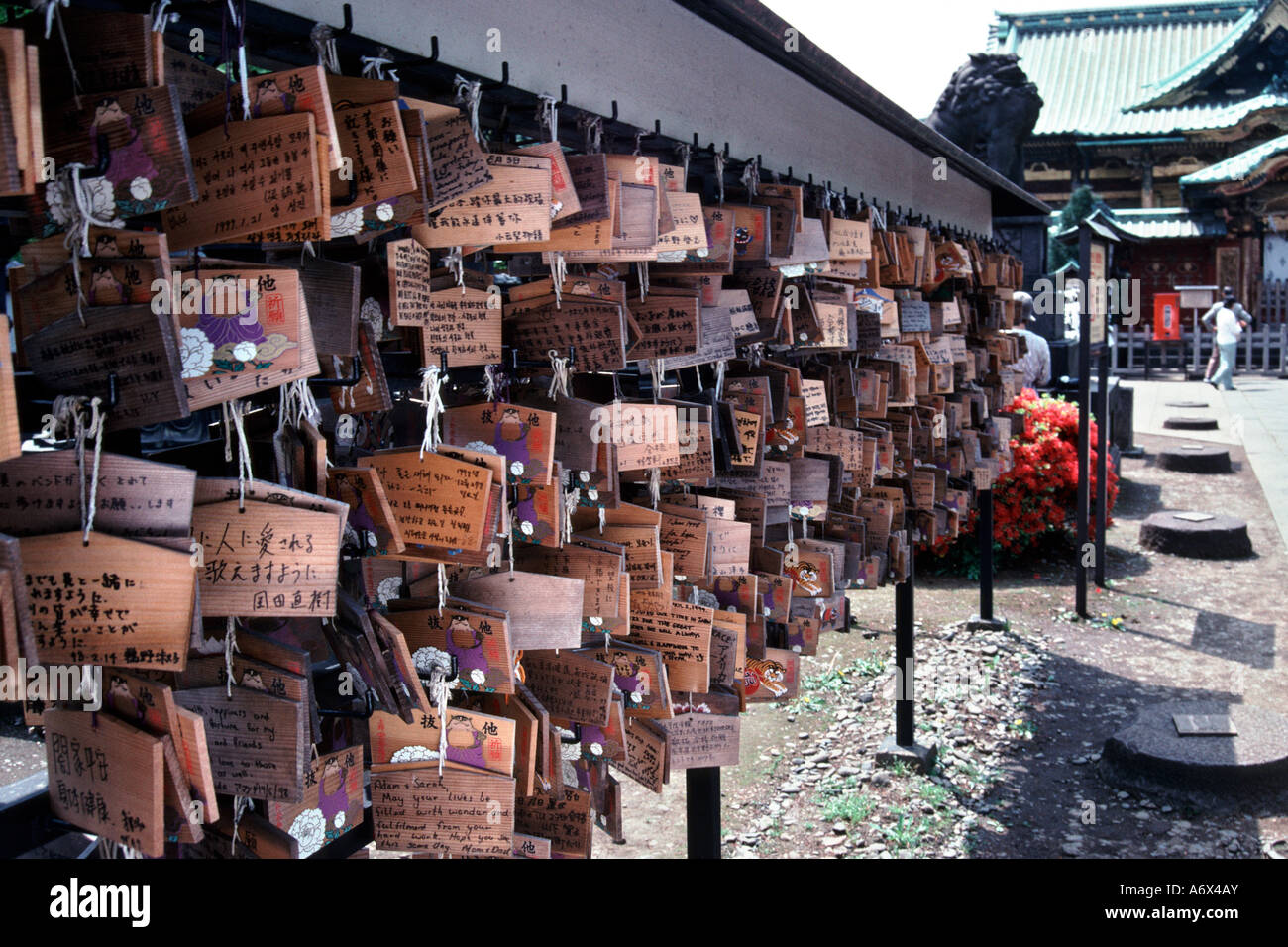 Schede di preghiera appendere nel giardino di un santuario shintoista a Tokyo in Giappone. Foto Stock