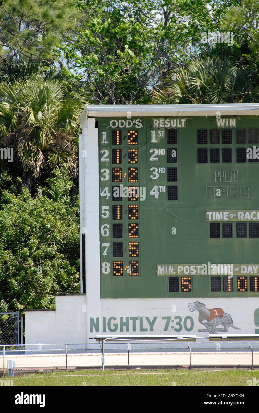 Cane Greyhound Racing a Sarasota Florida FL Kennel Club Foto Stock
