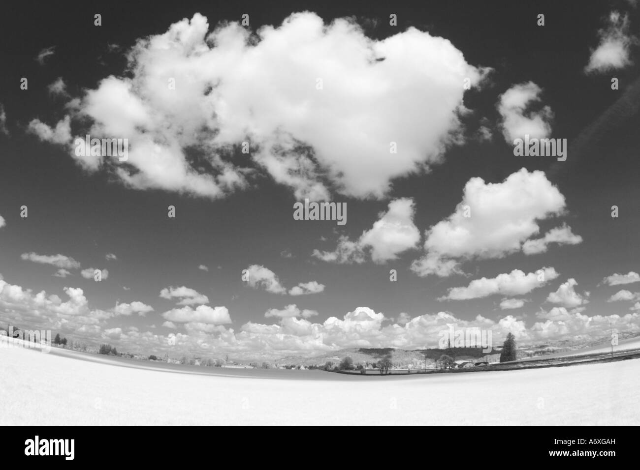 Foto ad infrarossi di campo e cielo Foto Stock