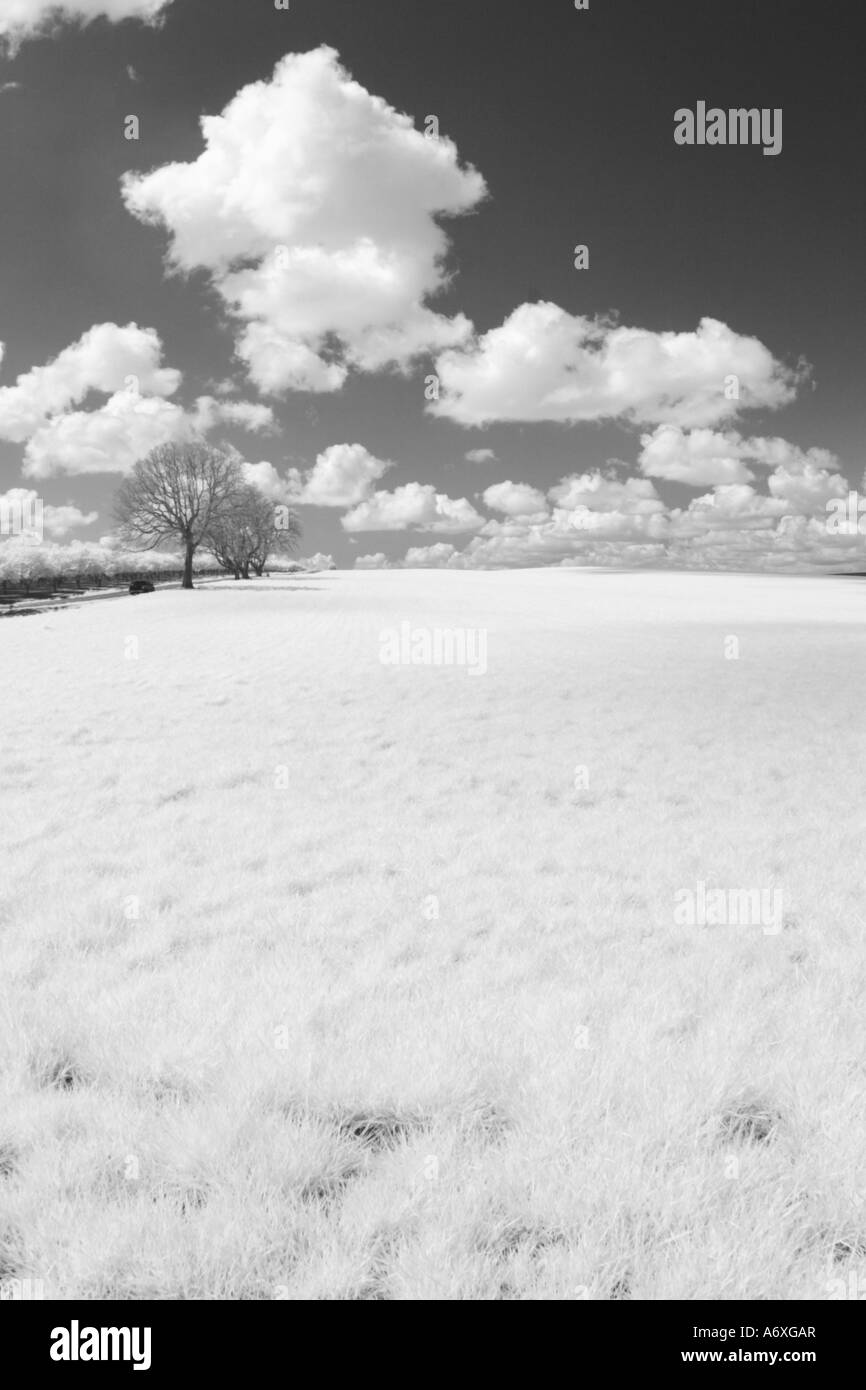 Foto ad infrarossi di campo e cielo Foto Stock