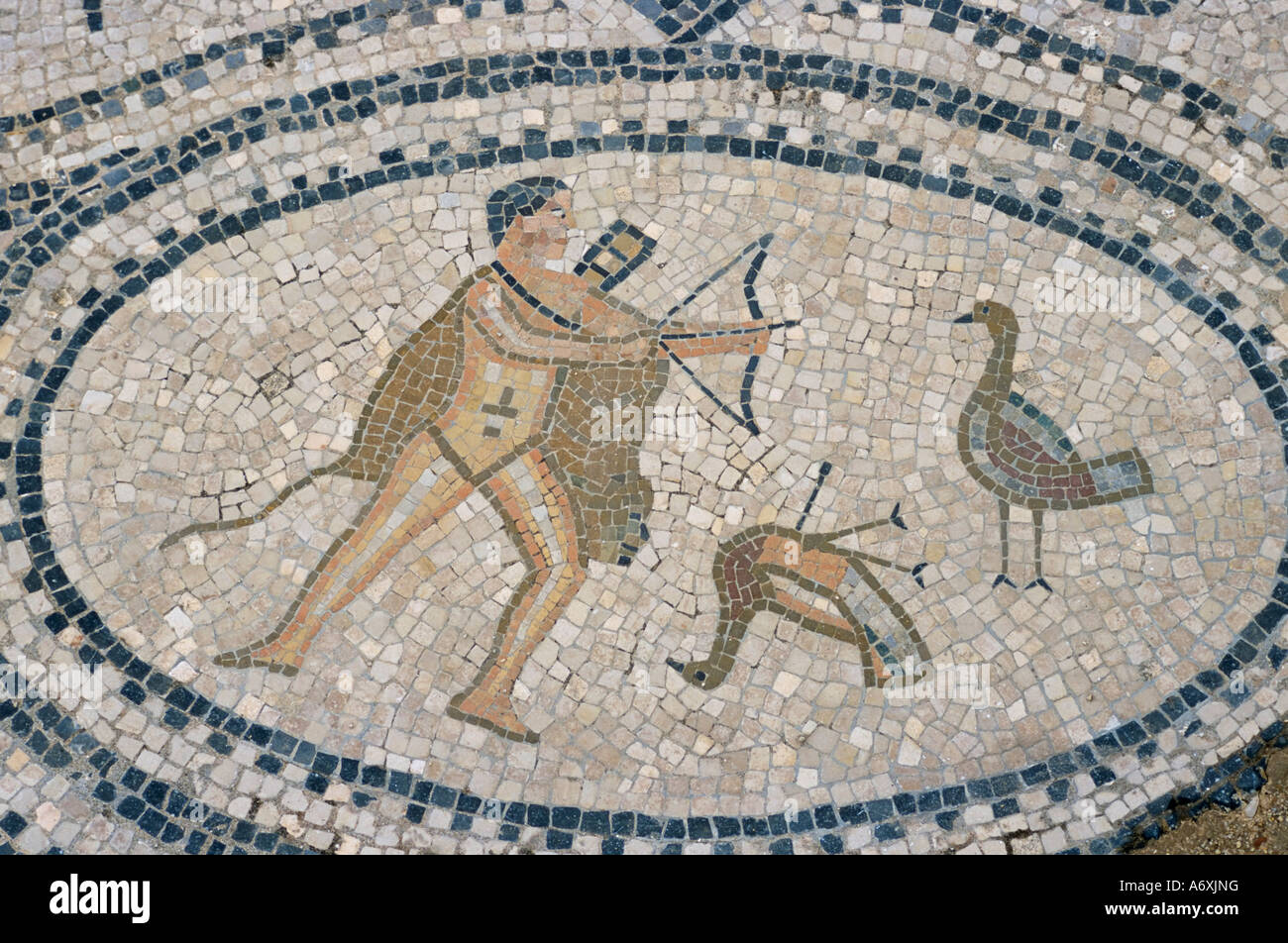 Pavimento a mosaico di scena di caccia sito archeologico romano di Volubilis Sito Patrimonio Mondiale dell'UNESCO Marocco Nord Africa Africa Foto Stock