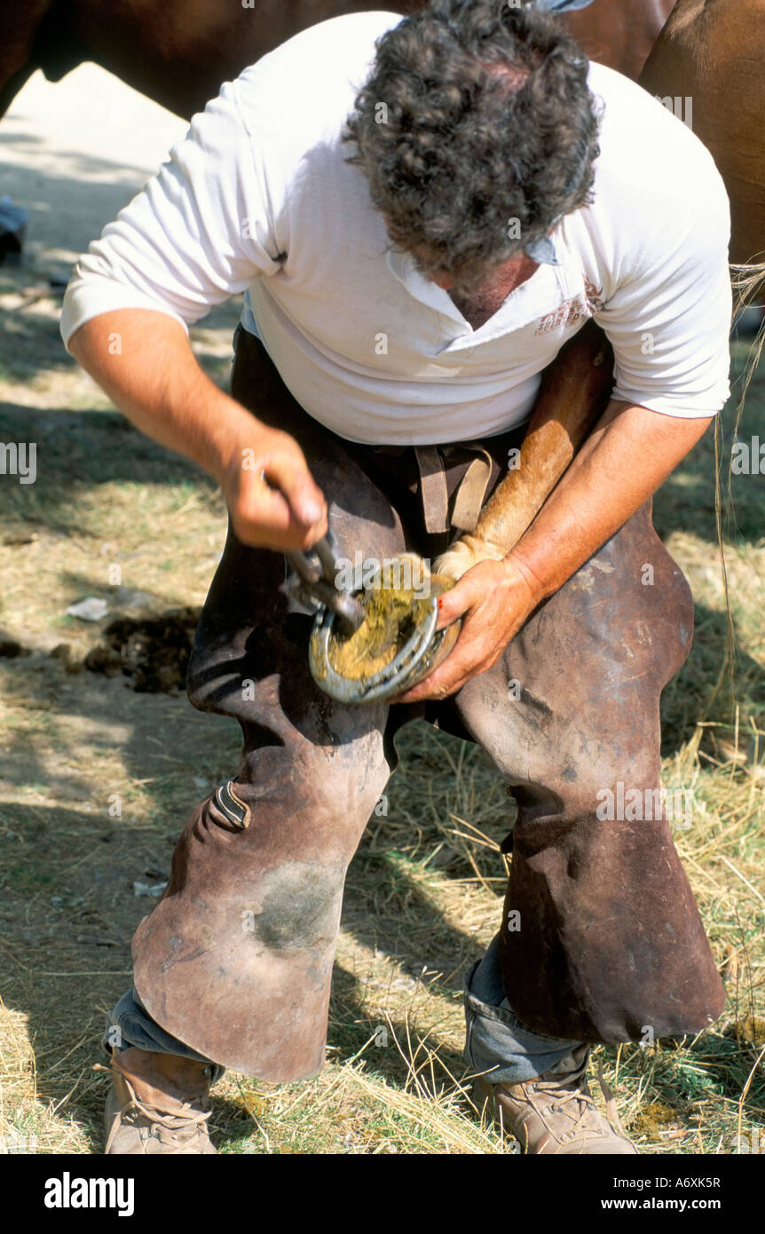 La ferratura di un cavallo su una fattoria Provenza Francia Europa Foto Stock