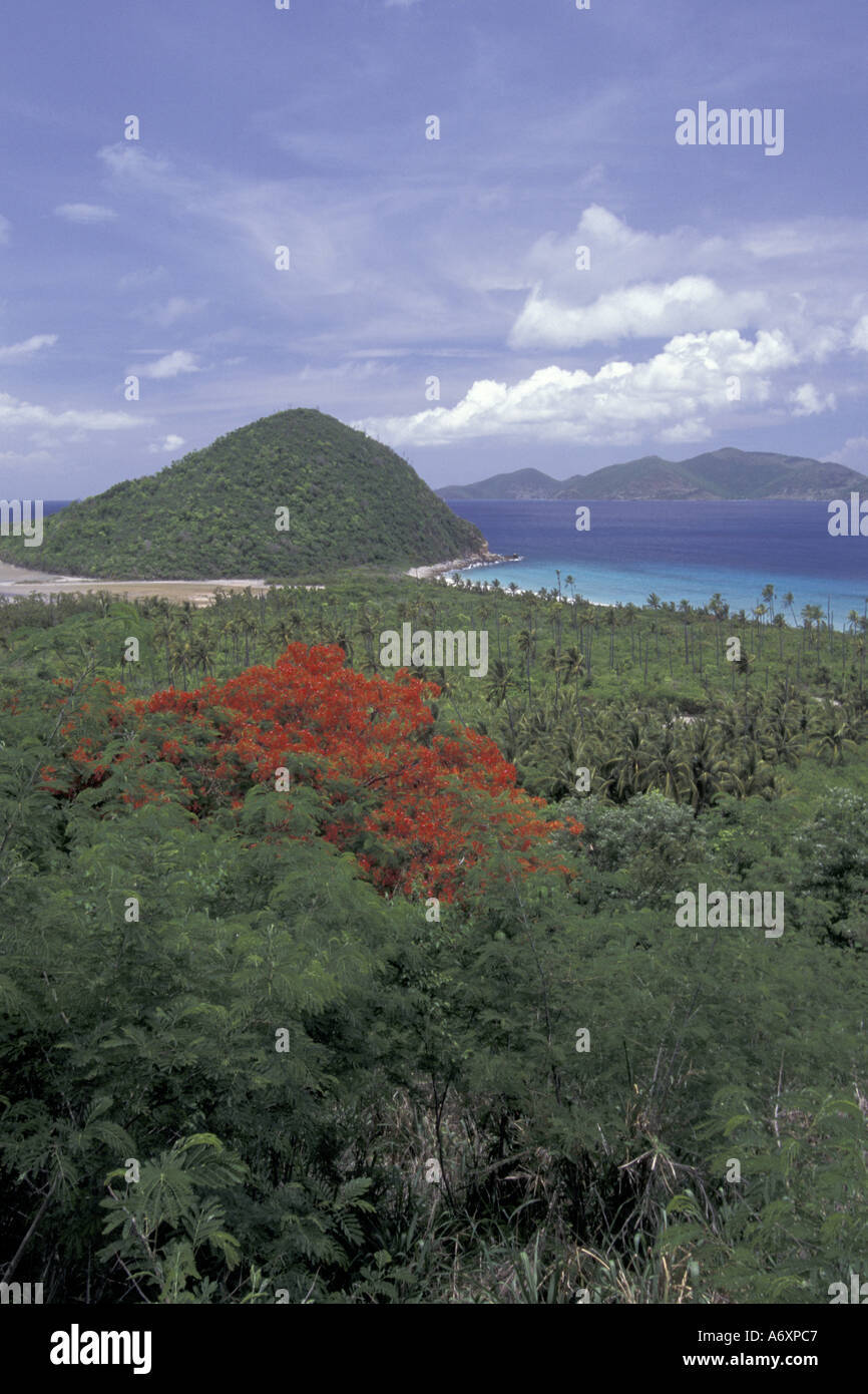 Dei Caraibi, le Isole Vergini Britanniche vista di Tortola Foto Stock