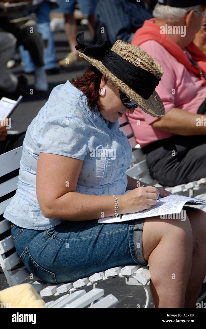 Corse di cavalli purosangue Tampa Bay Downs Florida FL Tampa Foto Stock