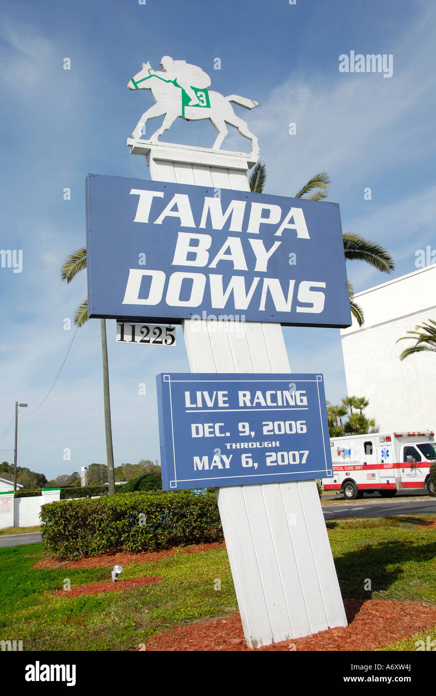 Corse di cavalli purosangue Tampa Bay Downs Florida FL Tampa Foto Stock