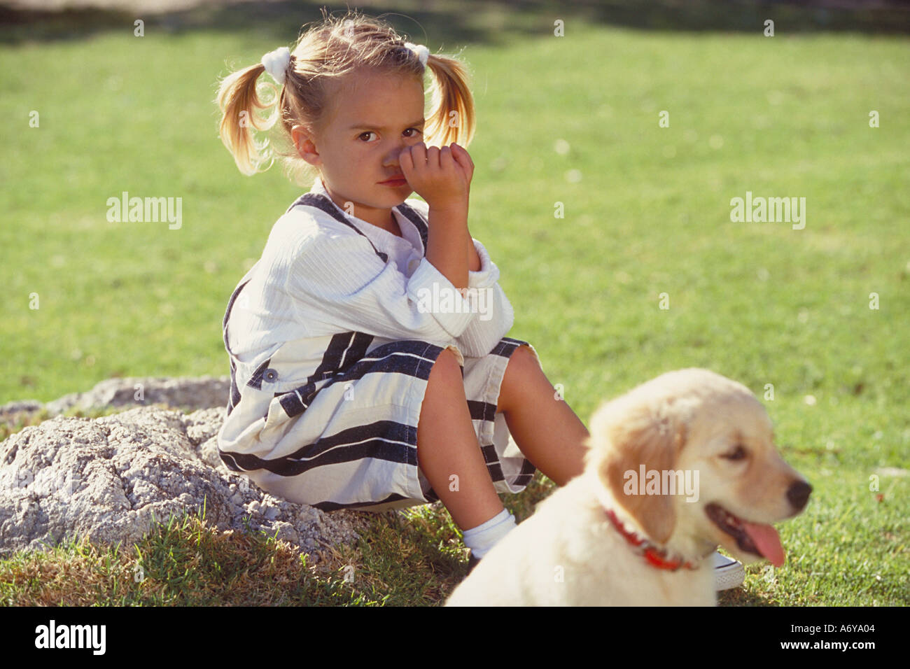 Ritratto di una ragazza triste seduta nel parco con un cane Foto Stock