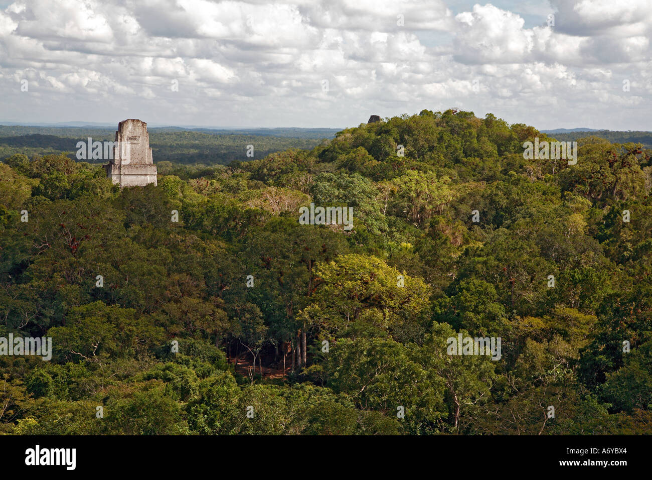 Tempio maya emergente dalla foresta di pioggia Tikal Guatemala Foto Stock