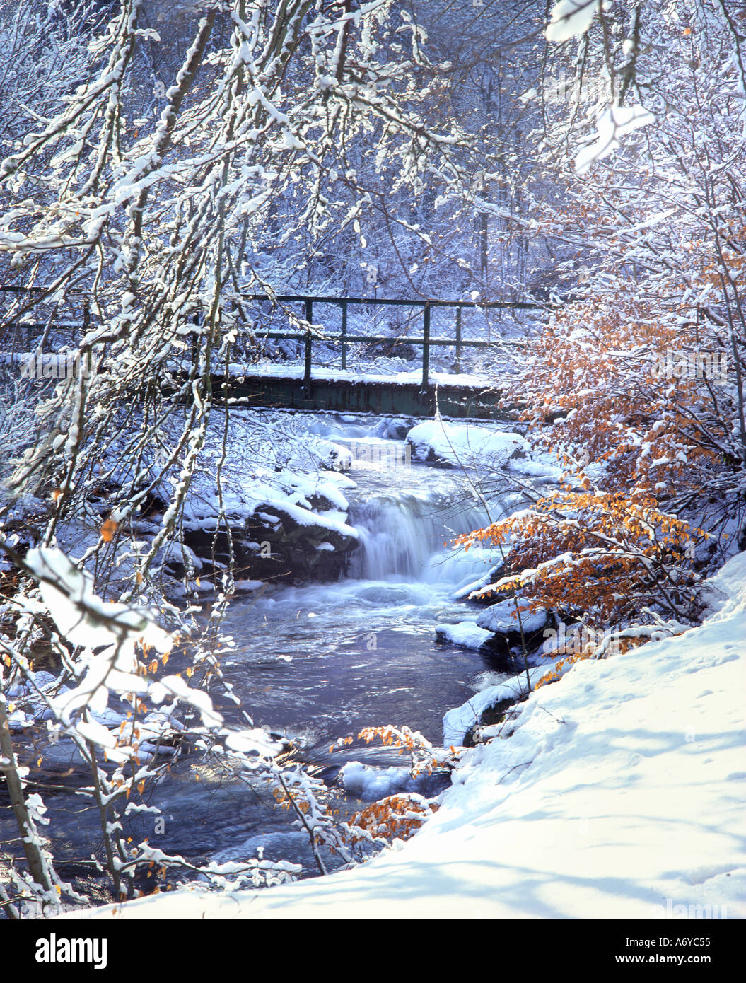 Regno Unito Scozia Perthshire Aberfeldy La Birks O Aberfeldy Foto Stock
