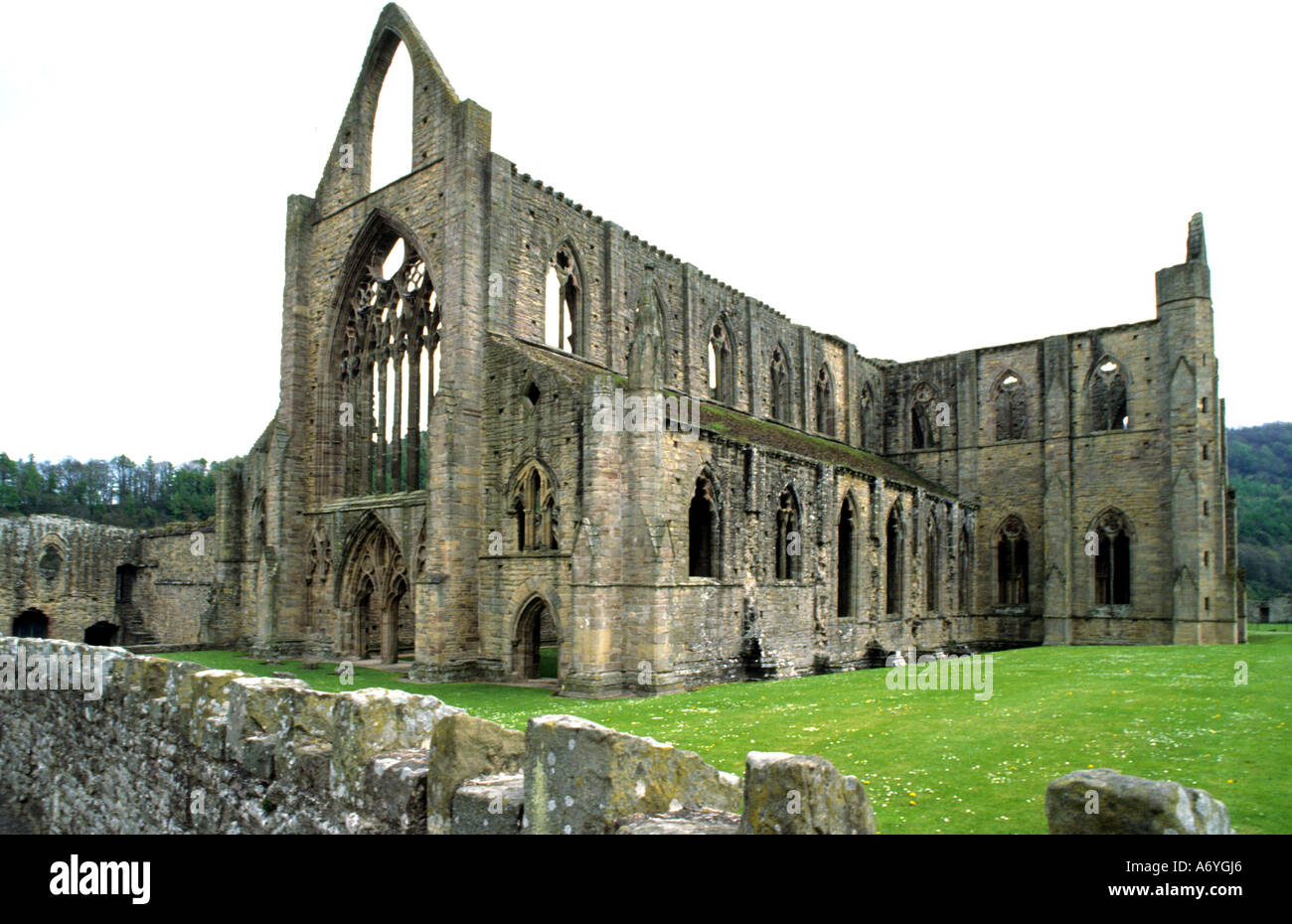 Tintern Abbey è stata fondata da Walter de Clare, signore di Chepstow, in data 9 maggio 1131. Situato sul fiume Wye in Monmouthshire Foto Stock