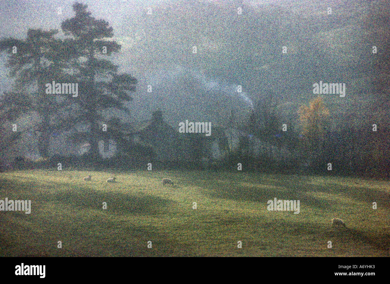 Soft focus e granulosa scena di fattoria Foto Stock