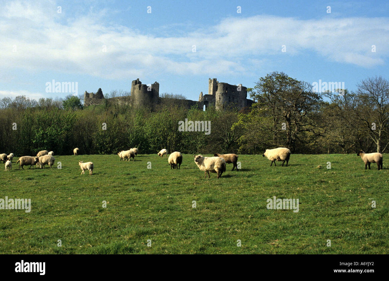 Gran Bretagna Galles Llansteffan Castle Carmarthen Bay Foto Stock