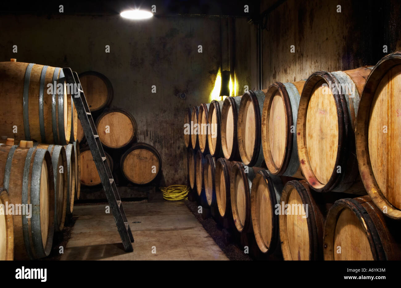 Domaine clos Marie. Pic St Loup. Languedoc. Canna cantina. La Francia. L'Europa. Foto Stock