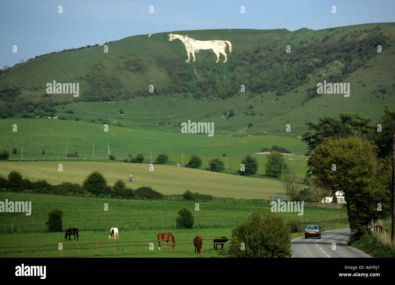 Il Westbury o Bratton White Horse Wiltshire, Inghilterra Gran Bretagna Foto Stock