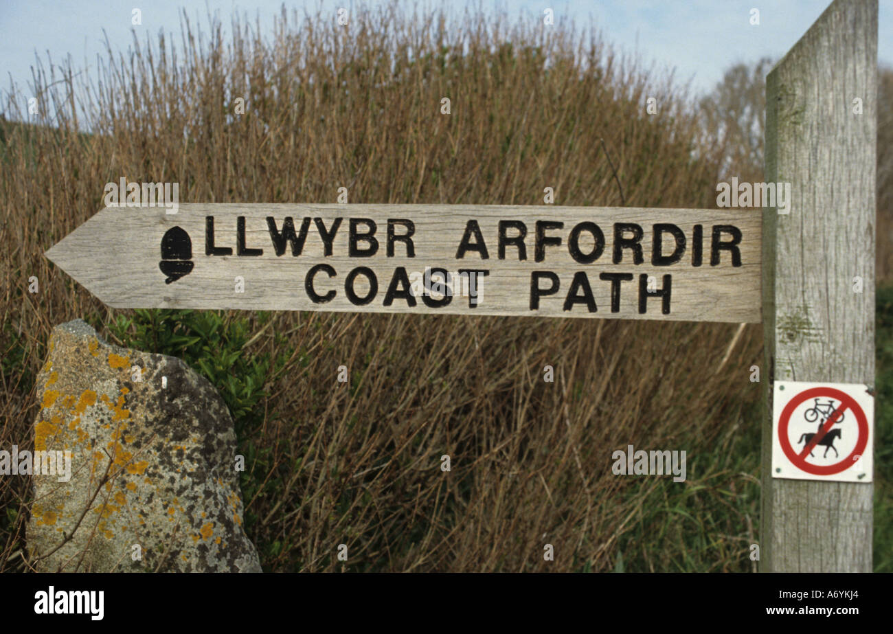 Llwybr arfordir percorso costa Pembrokeshire Sir Benfro è una contea nel sud-ovest del Galles nel Regno Unito. Foto Stock