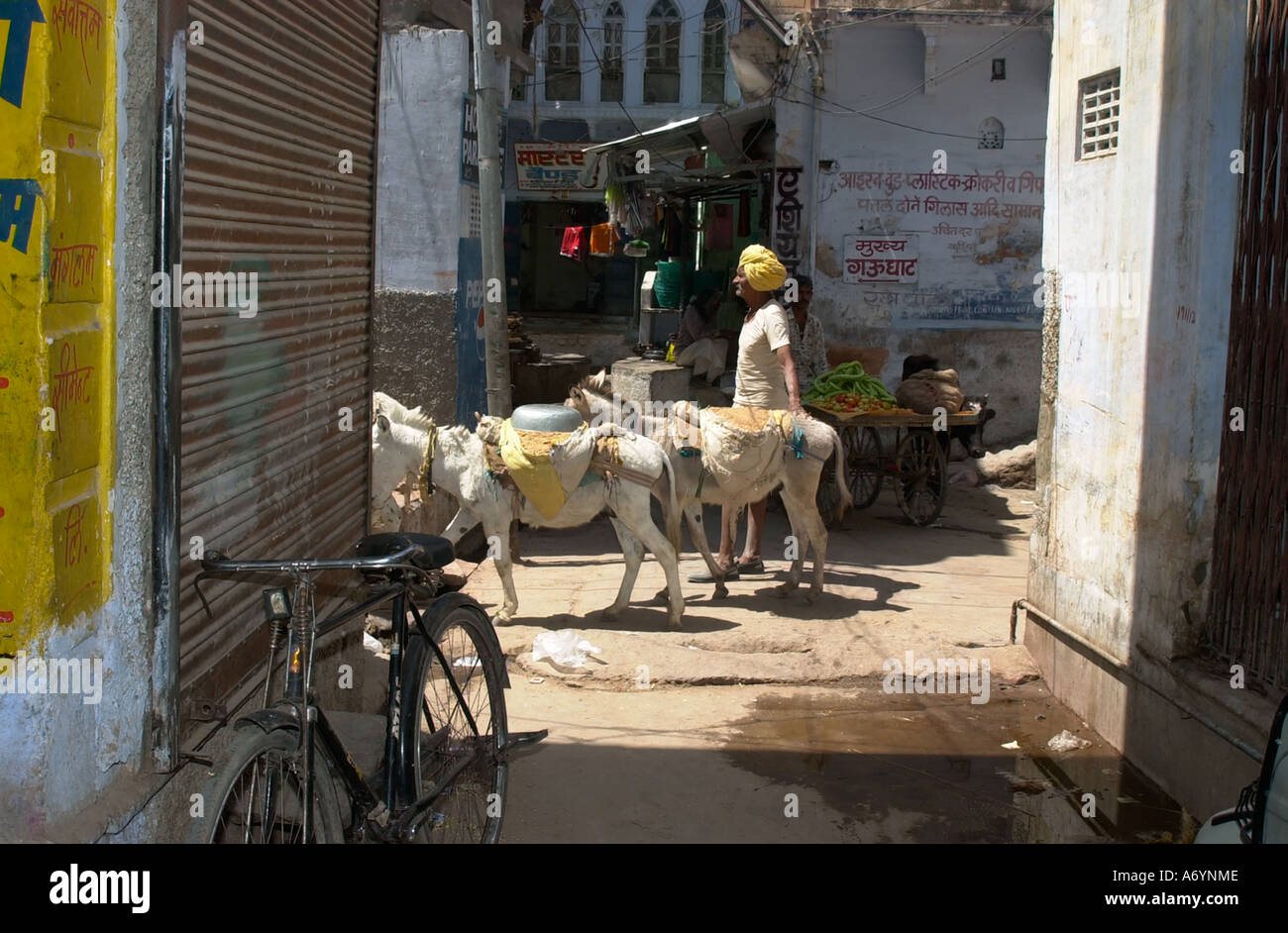 Unità di pastore del suo gregge di capre attraverso la città in India Foto Stock