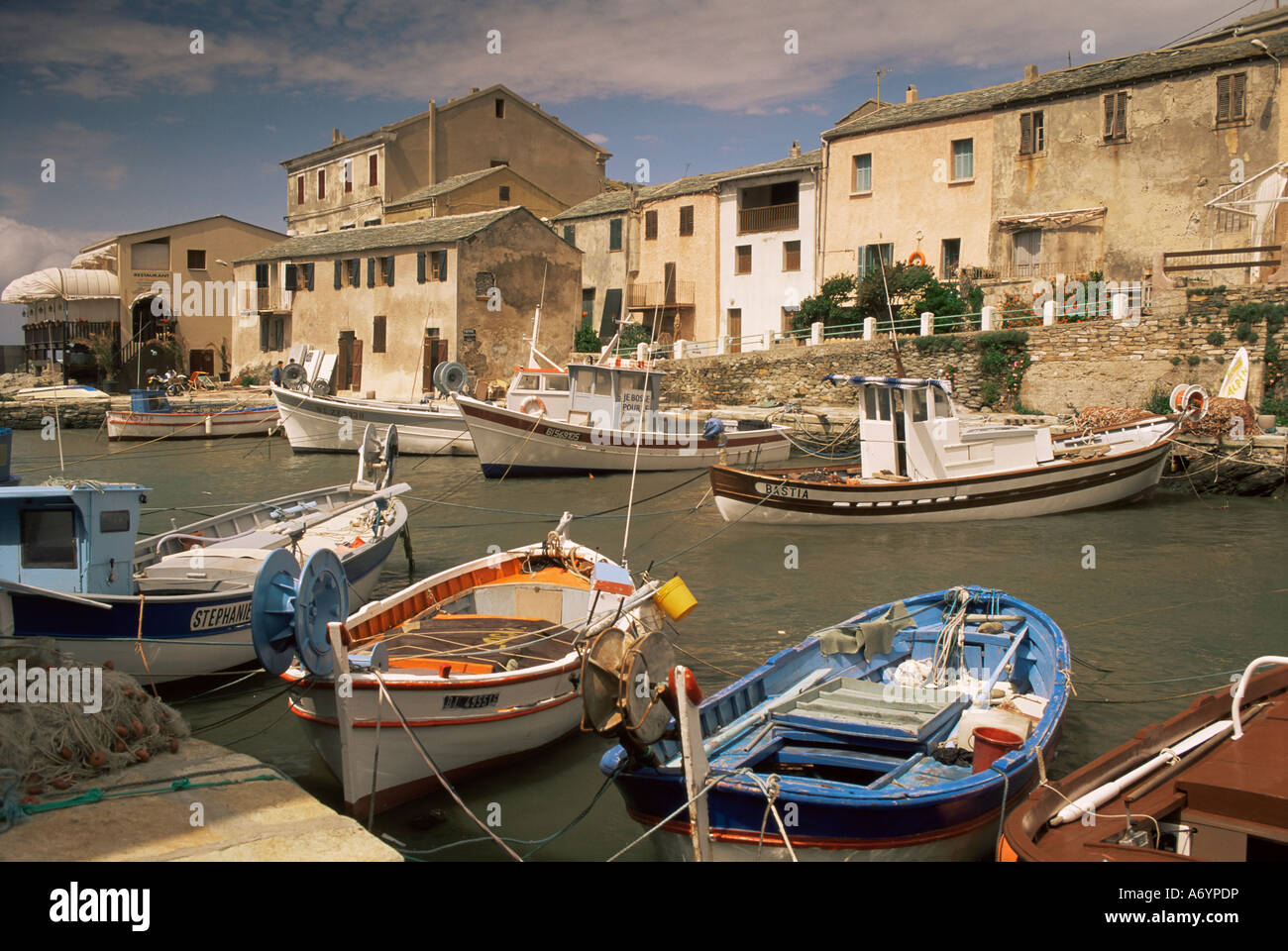 Il porto Centauri Porto Corsica Francia Europa Foto Stock