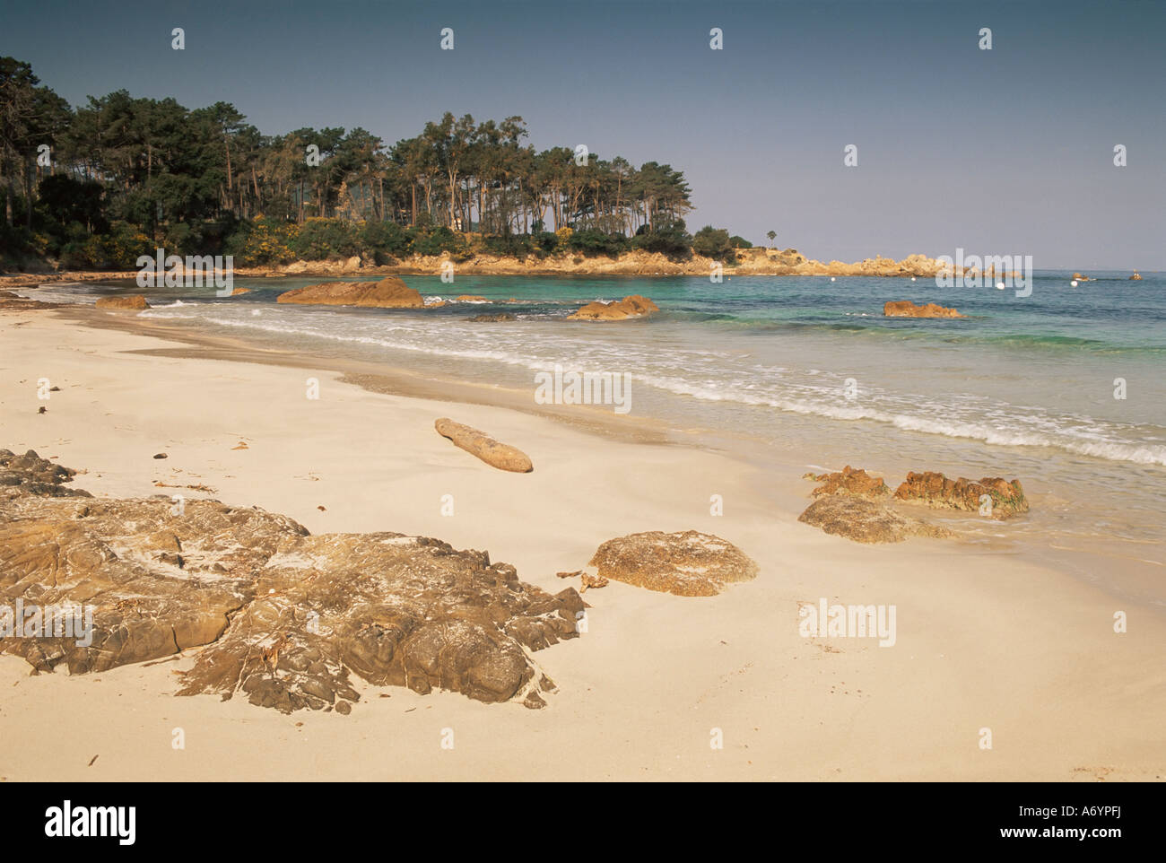 Spiaggia vicino a Propriano Corsica Francia Europa Mediterranea Foto Stock