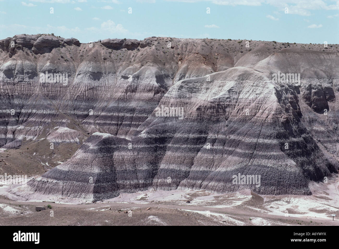 Le rocce sedimentarie argilla a bande di colore da ossidi di ferro orizzontale Chinle Triassico Creta Blue Mesa Deserto Dipinto unità Arizona Foto Stock