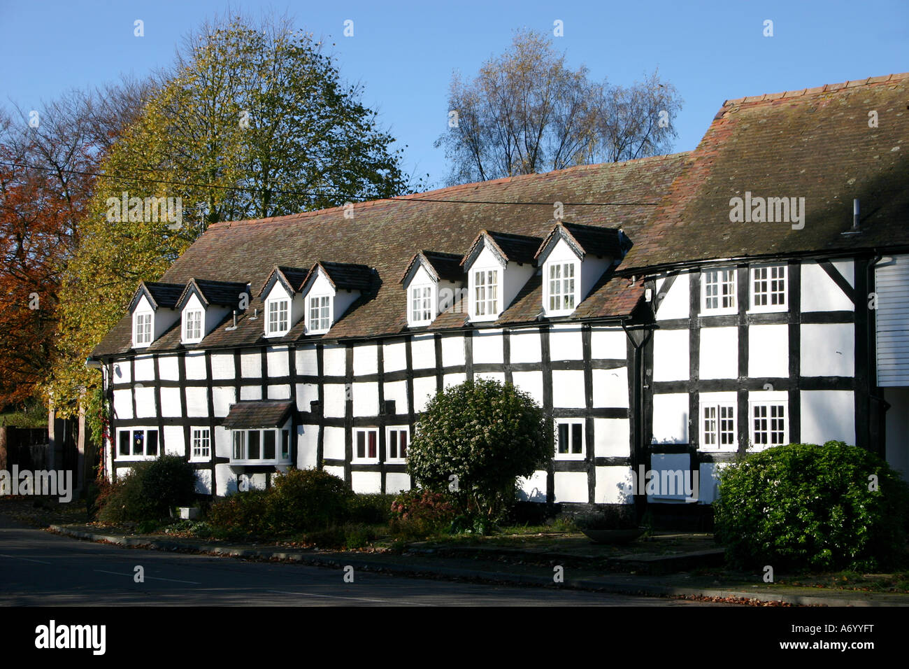 In bianco e nero di legno a cottage in Dilwyn, Herefordshire, Inghilterra Foto Stock