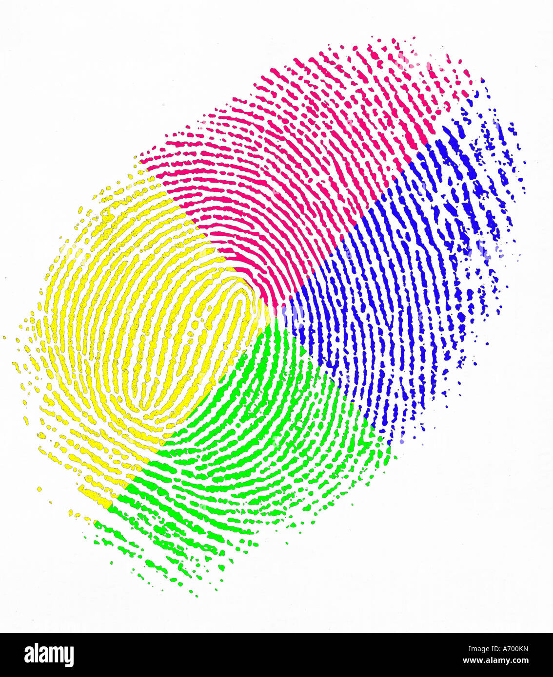Multi vista colorate di una impronta digitale Foto Stock