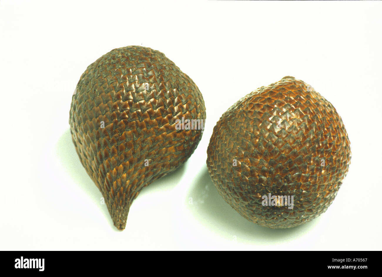 Food frutta frutti esotici salacca salak edulis schlangenfrucht schlangenhautfrucht dal sud est asiatico Foto Stock