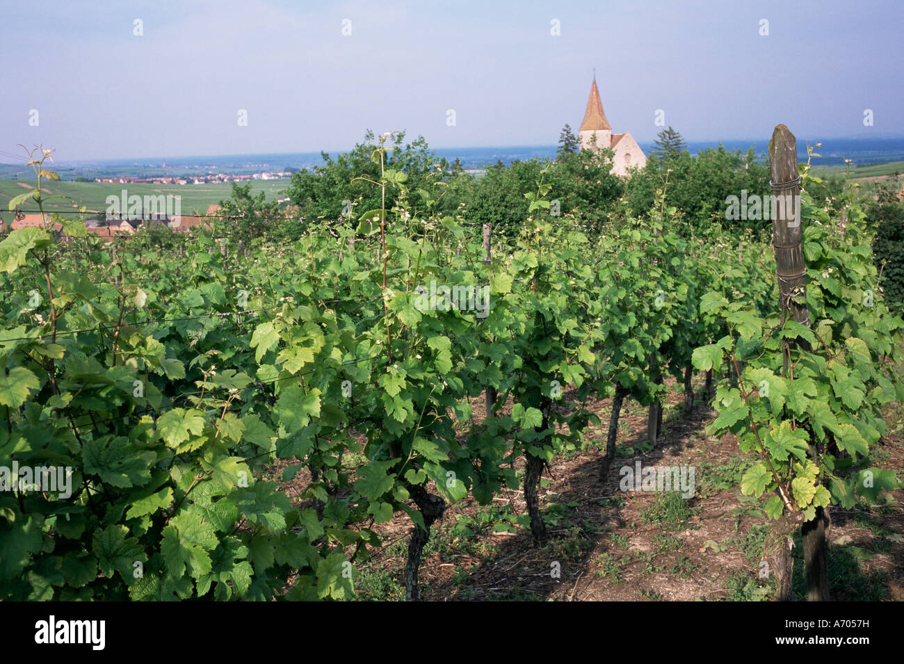 Hunawihr Alsace Francia Europa Foto Stock