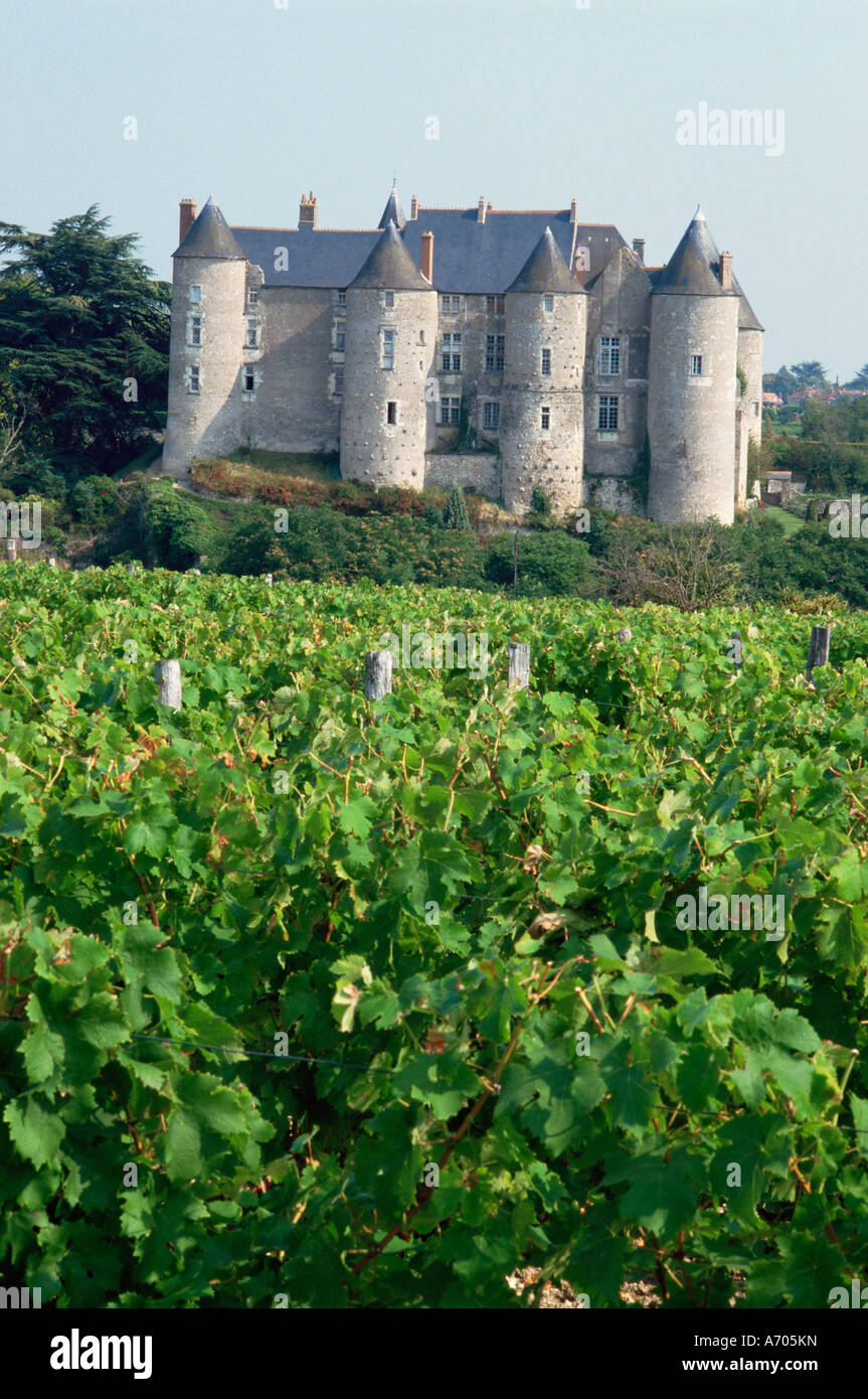 Chateau di Luynes Indre et Loire Loire Valle della Loira centrale Francia Europa Foto Stock
