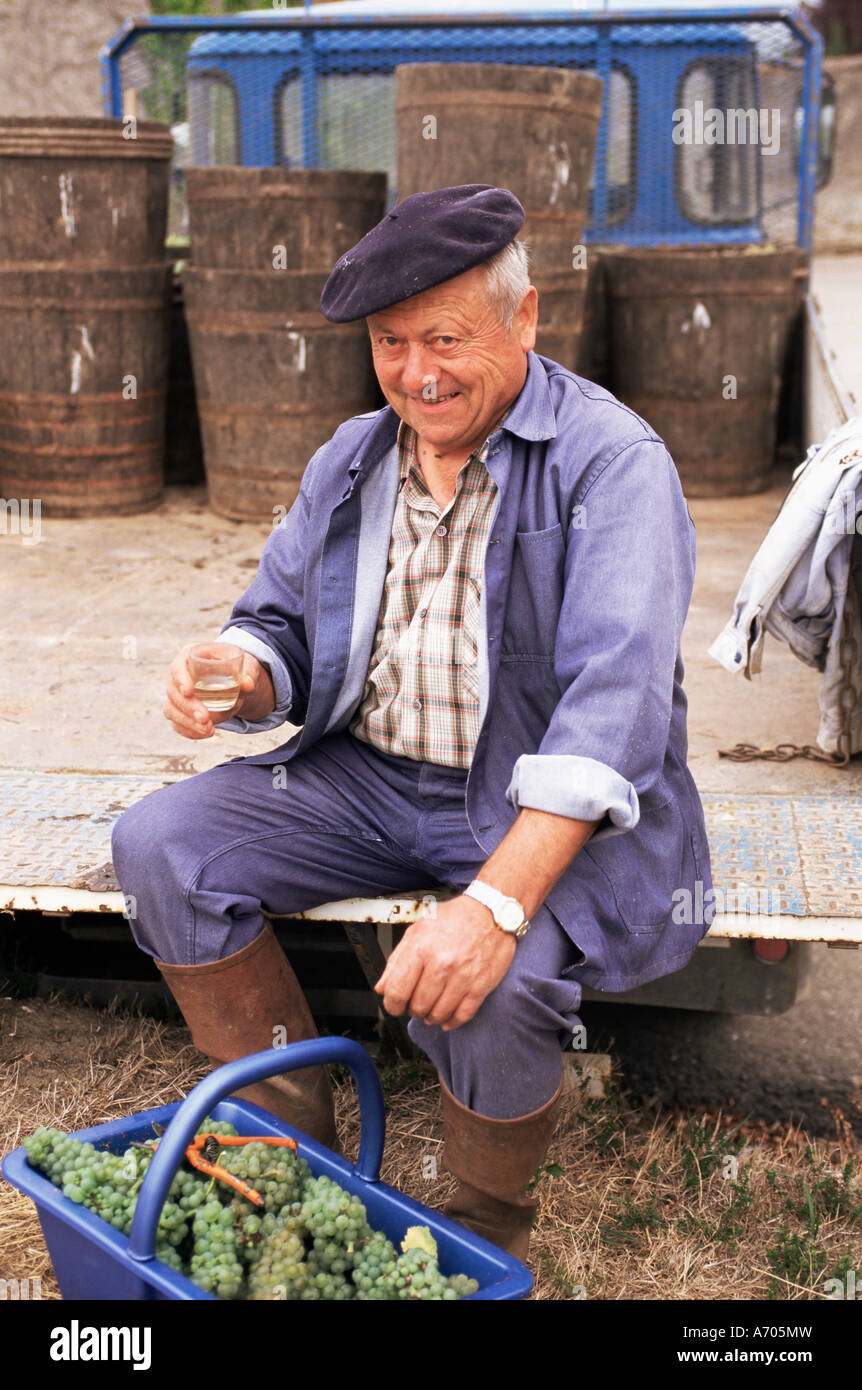 Vigneron vicino a Nantes Western Loire Francia Europa Foto Stock