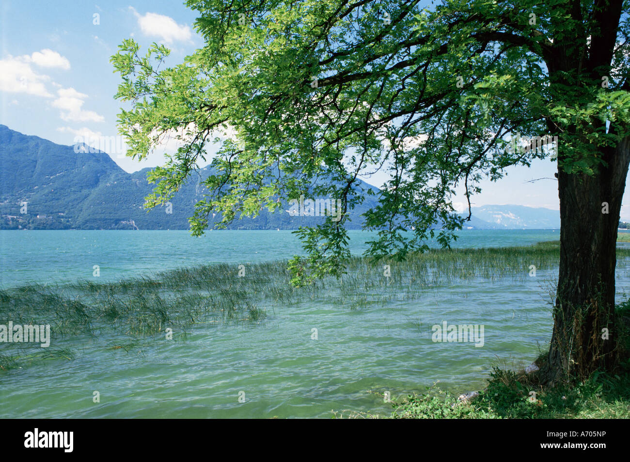 Il Lac du Bourget vicino a Aix les Bains Rhone Alpes Francia Europa Foto Stock
