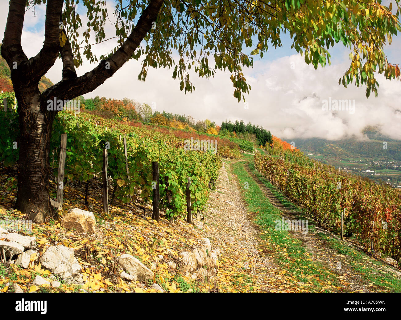 Il paesaggio nei pressi di Chambery Savoie Rhone Alpes Francia Europa Foto Stock