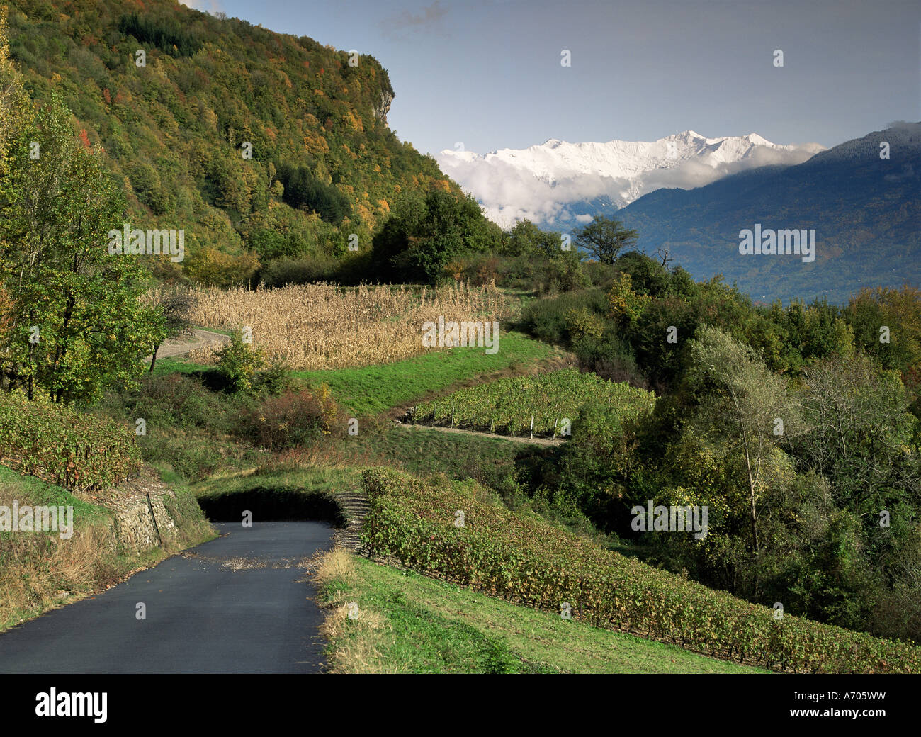 Il paesaggio nei pressi di Chambery Savoie Rhone Alpes Francia Europa Foto Stock