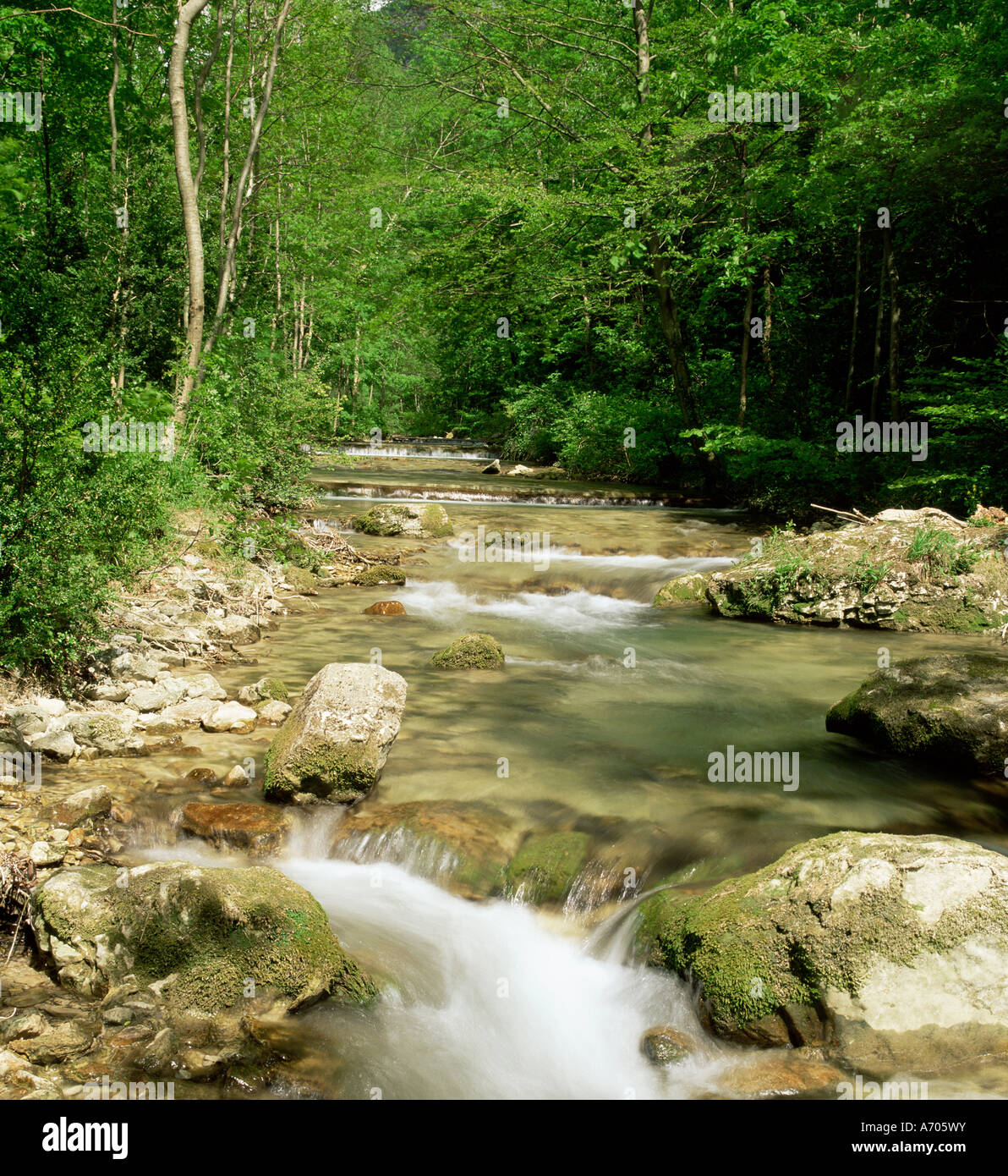 Gole d Omblez vicino a La Chapelle en Vercors Drome Rhone Alpes Francia Europa Foto Stock