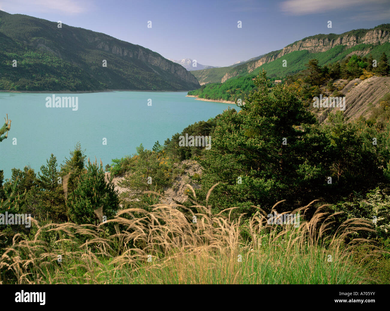 Fiume Verdon Alpes de Haute Provence Provence Francia Europa Foto Stock