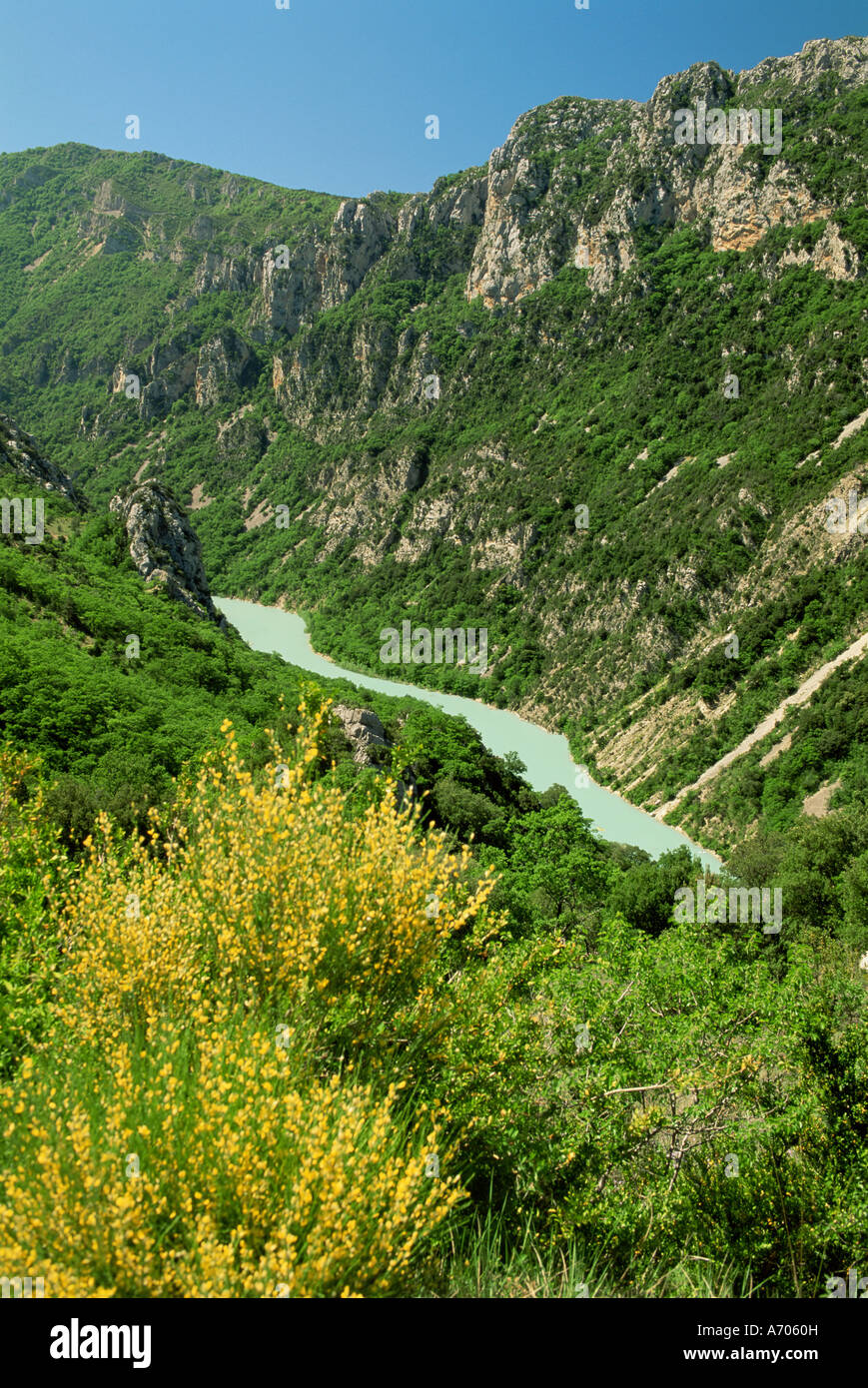 Gole del Verdon Alpes de Haute Provence Provence Francia Europa Foto Stock
