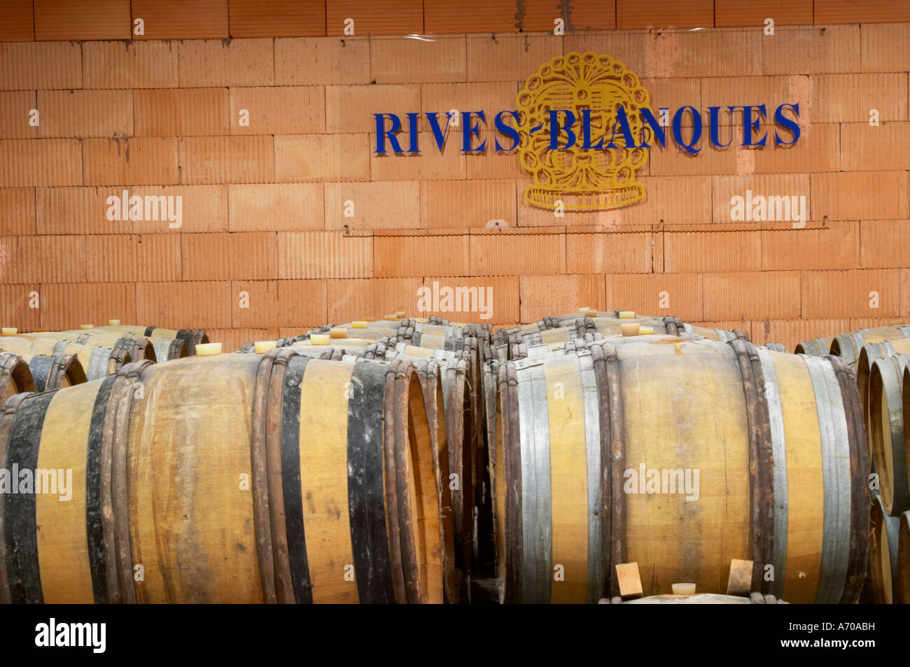 Chateau Rives-Blanques. Limoux. Languedoc. Canna cantina. La Francia. L'Europa. Foto Stock