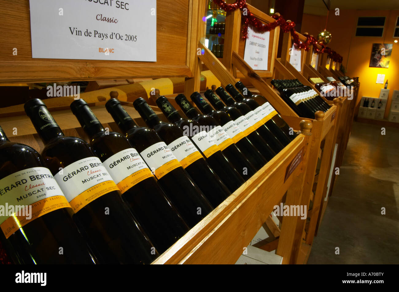 Muscat Sec Classic Vin de Pays d'Oc 2005 sul display. Domaine Gerard Bertrand, Chateau l'Hospitalet. La Clape. Languedoc. Il negozio del vino e la sala di degustazione. La Francia. L'Europa. Bottiglia. Foto Stock
