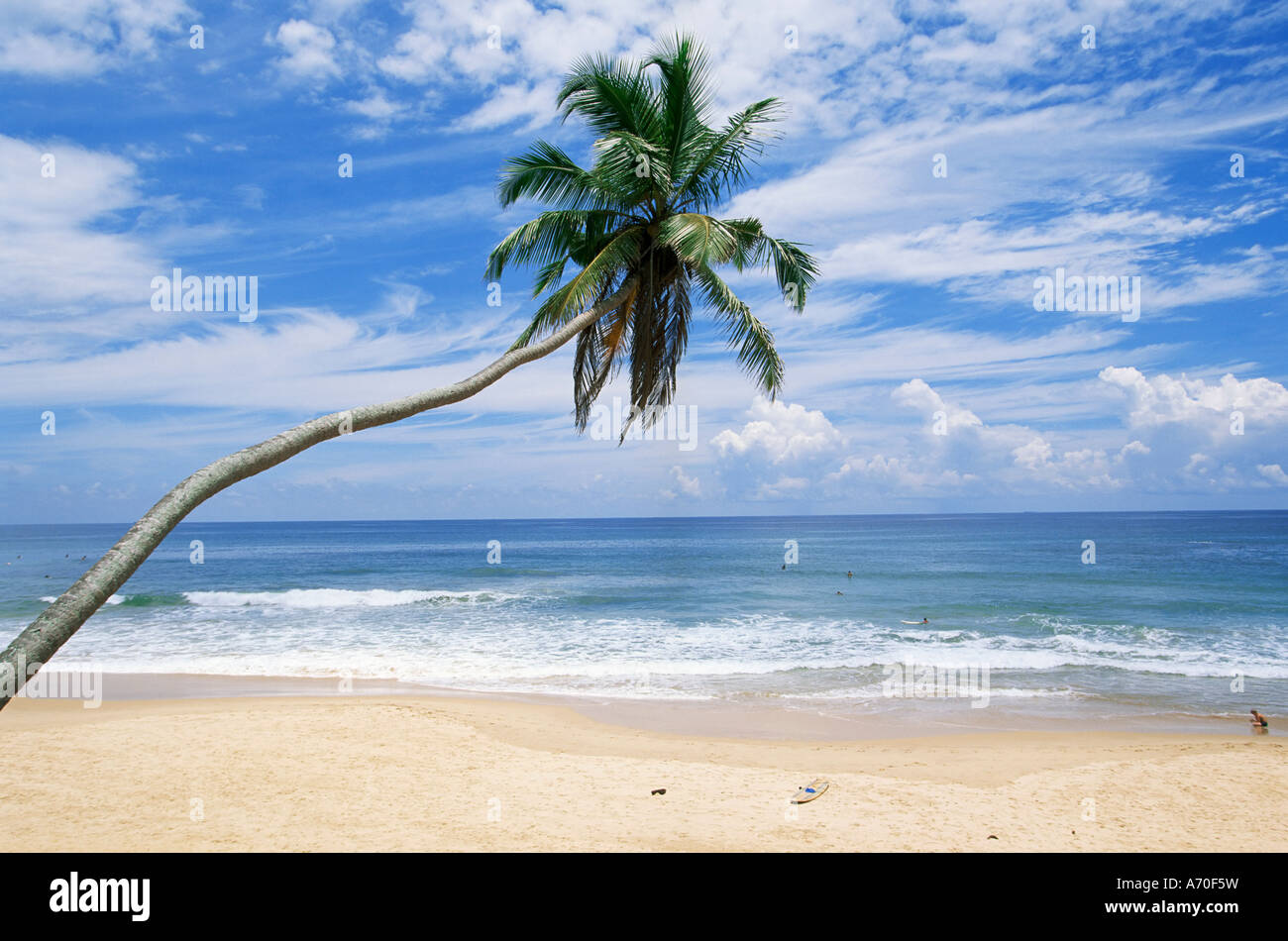 Palm Tree spiaggia Hikkaduwa Sri Lanka Oceano Indiano Asia Foto Stock