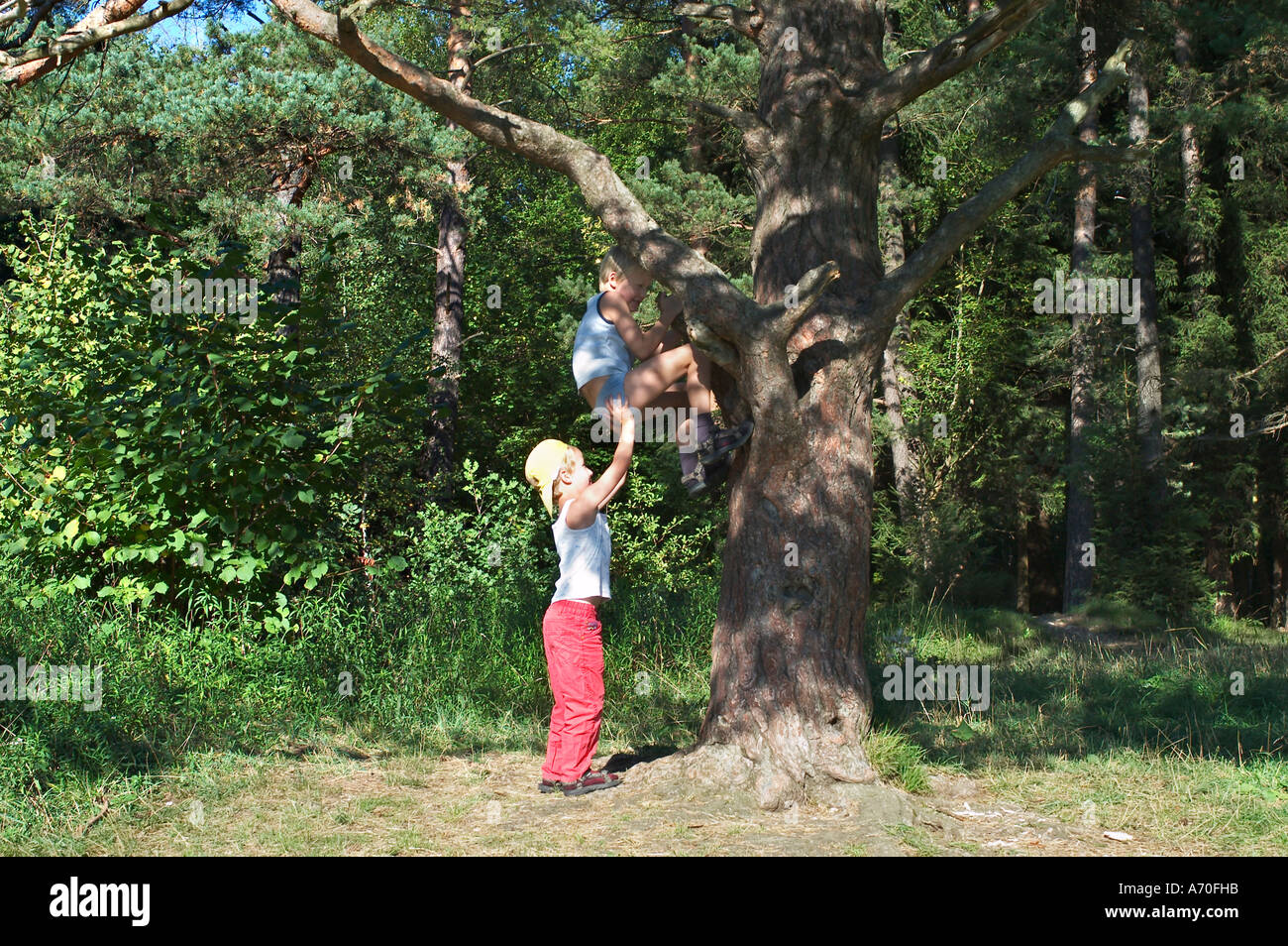 6 anno vecchio ragazzo aiutare il suo fratello più anziano di un albero della foresta Perlacher Monaco di Baviera Germania Foto Stock